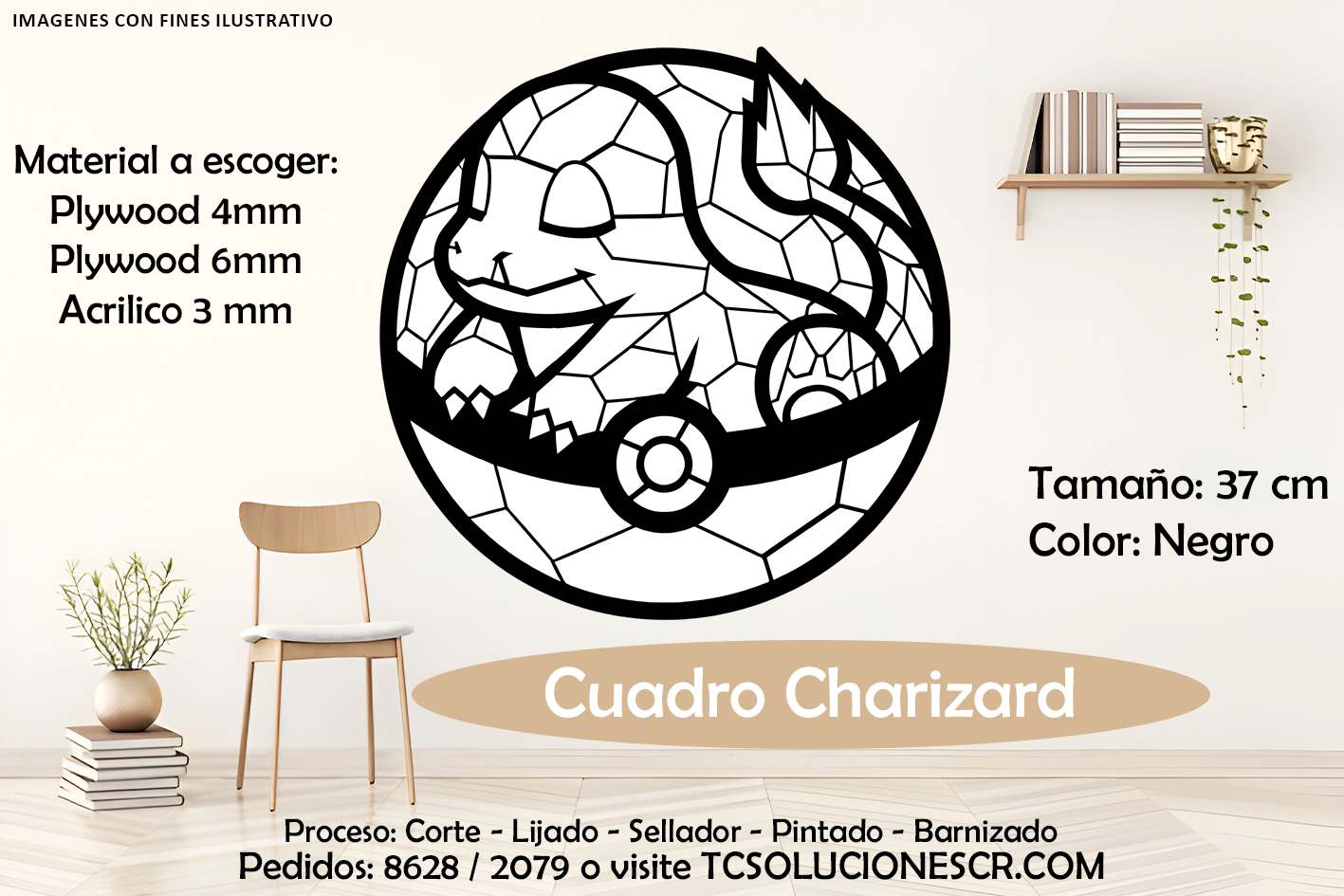 Cuadro Pokemon Charizard