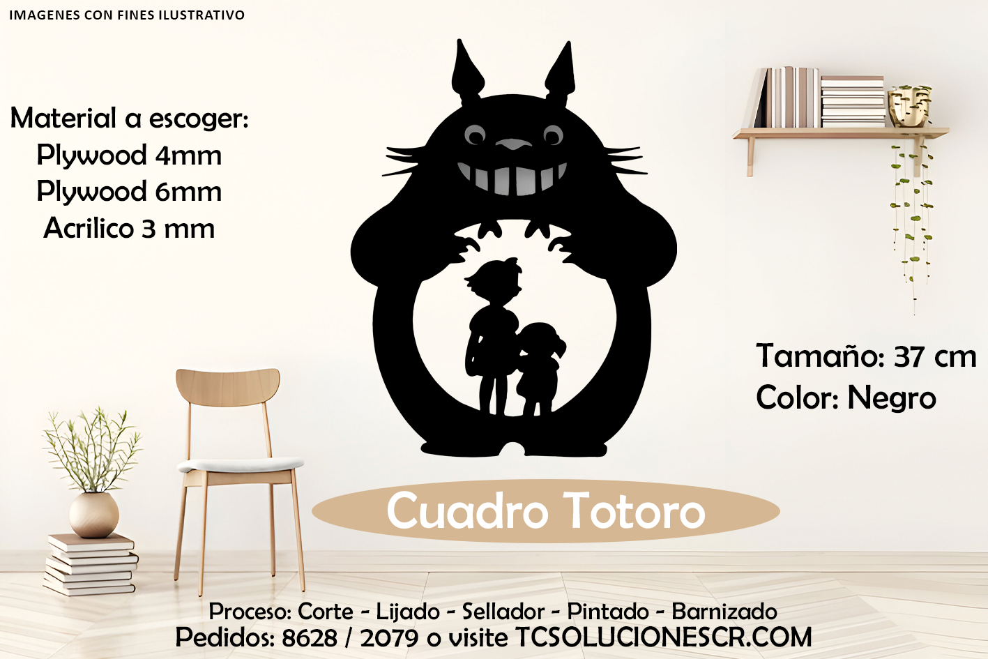 Cuadro Totoro 2