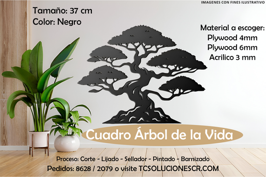 Cuadro Arbol Bonsai