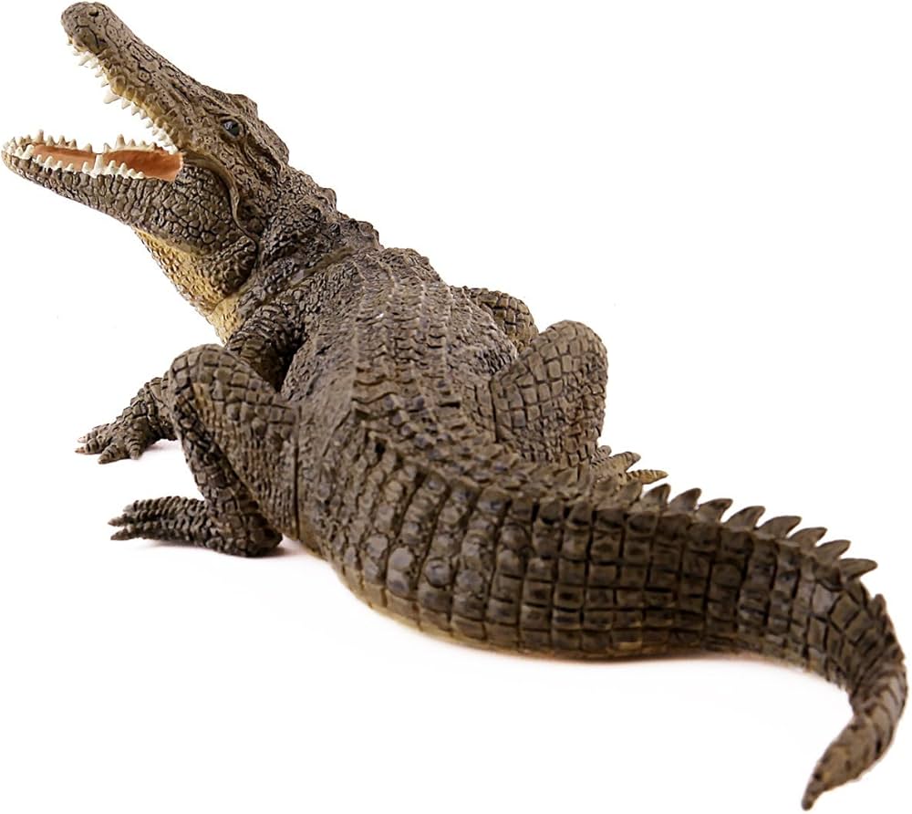 Cocodrilo New Style.