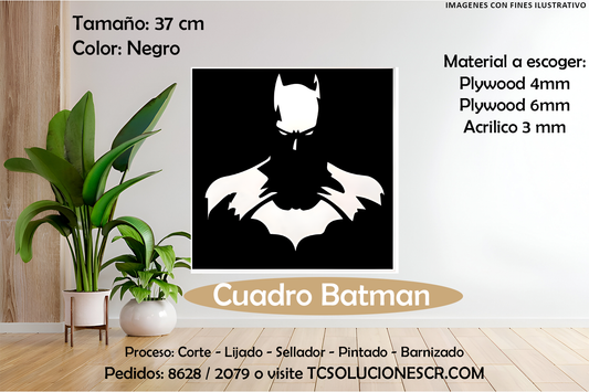 Cuadro DC Batman 1
