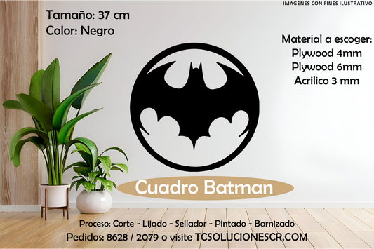 Cuadro DC Batman Logo