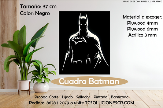 Cuadro DC Batman 2