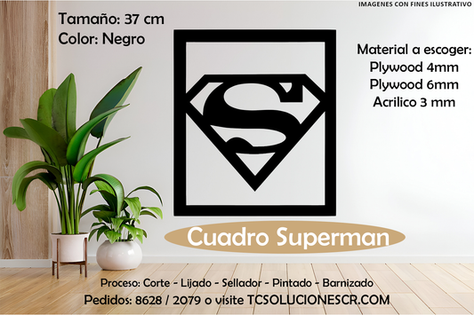 Cuadro DC Superman Logo