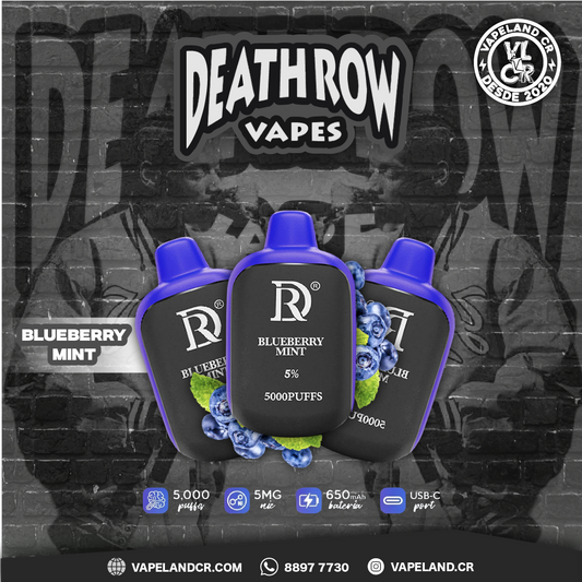 Death Row Blueberry Mint 5000 puffs.
