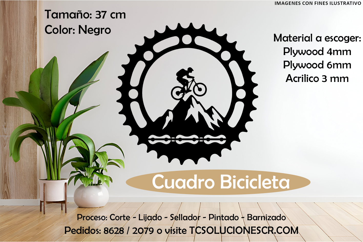 Cuadro Paisaje Bicicleta 2