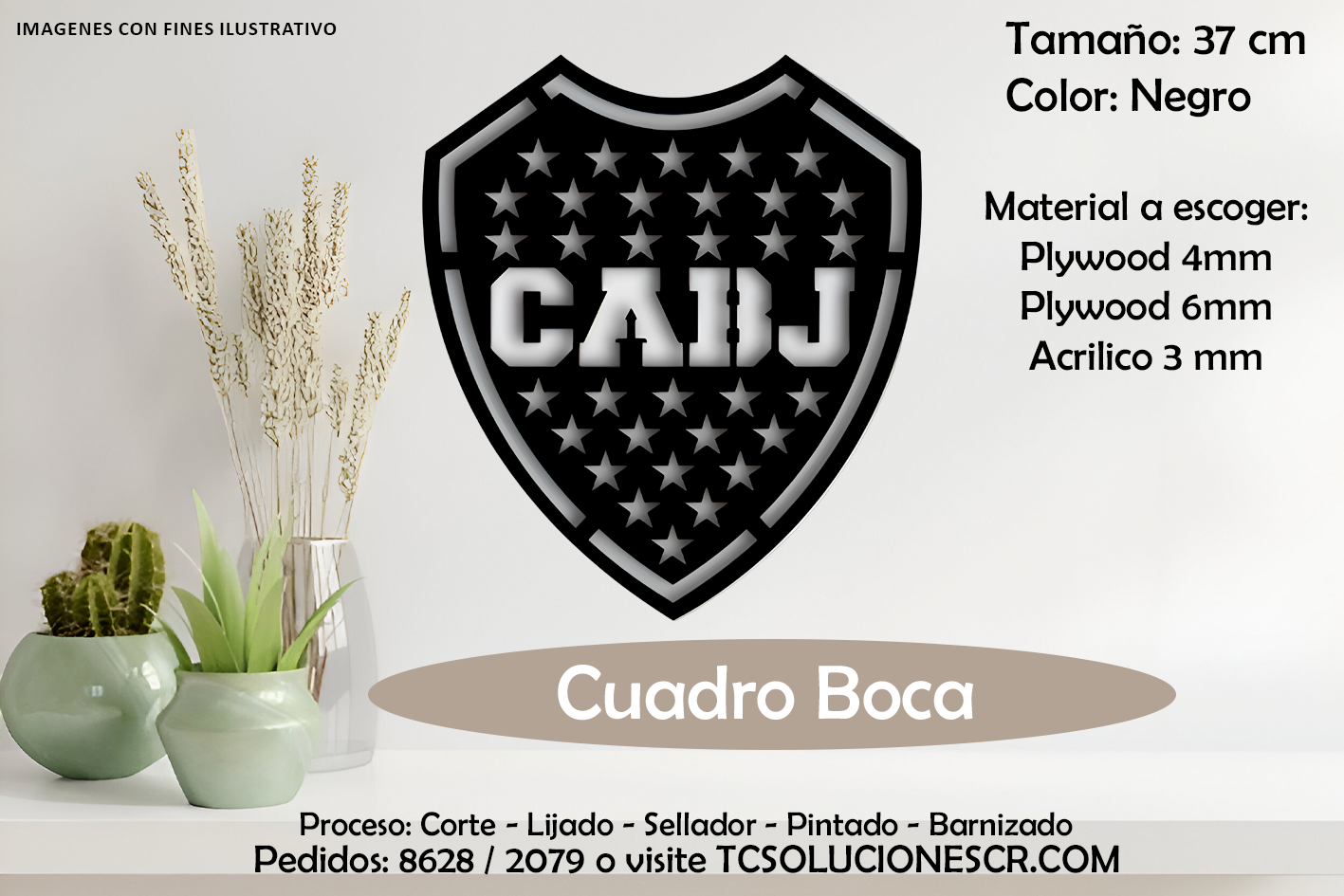 Cuadro Escudo Boca Junior