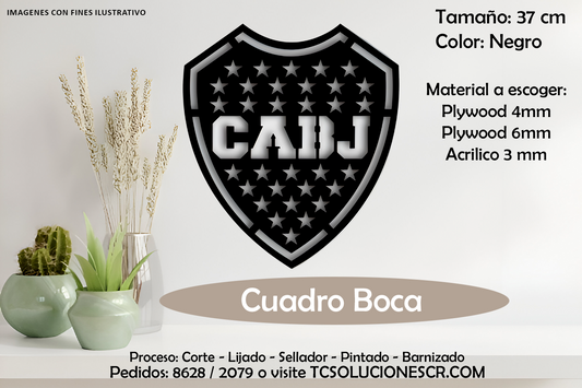 Cuadro Escudo Boca Junior