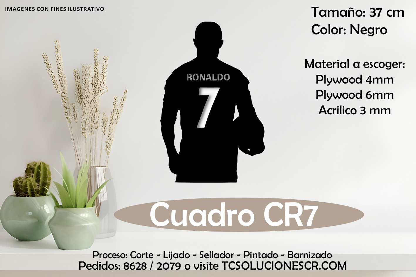 Cuadro Silueta CR7