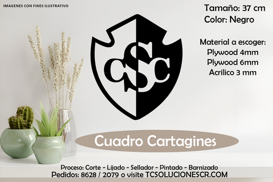 Cuadro Escudo Cartagines