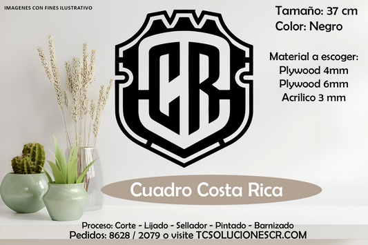 Cuadro Escudo Costa Rica