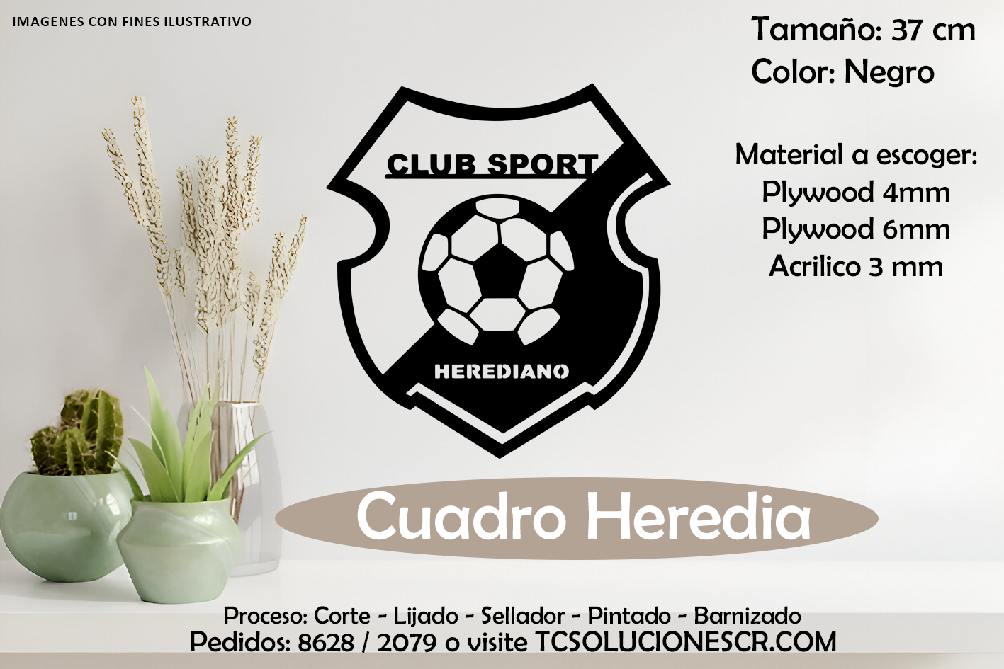 Cuadro Escudo Hediano