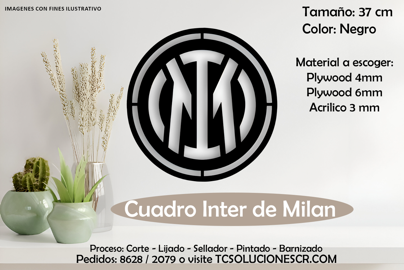 Cuadro Escudo Internacional