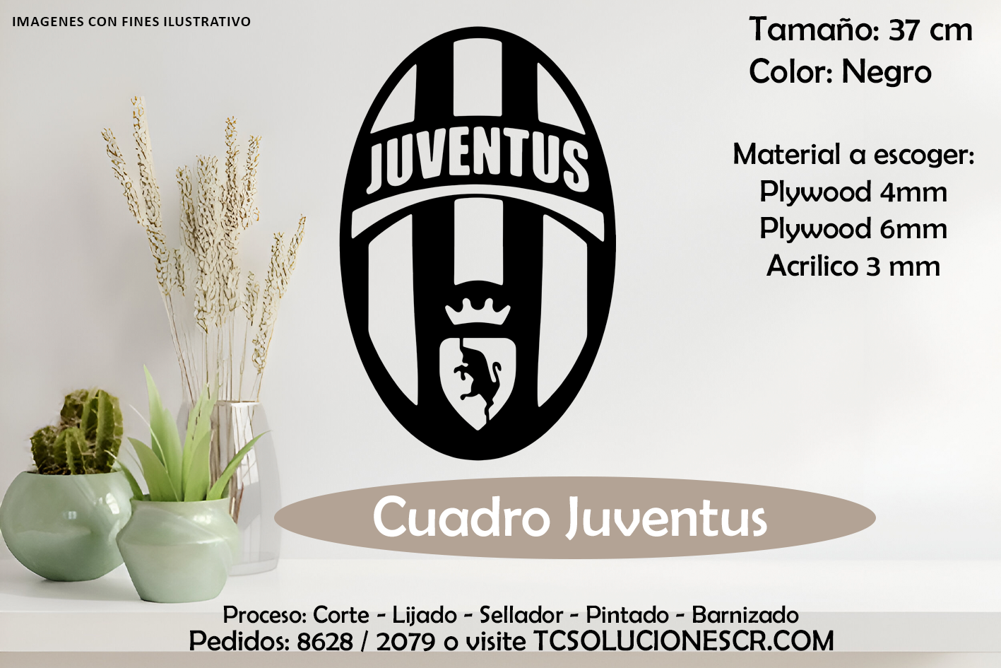 Cuadro Escudo Juventus 1