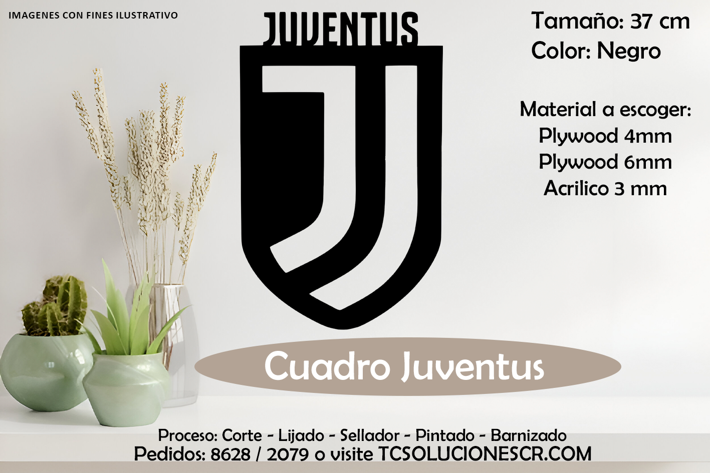 Cuadro Escudo Juventus 2