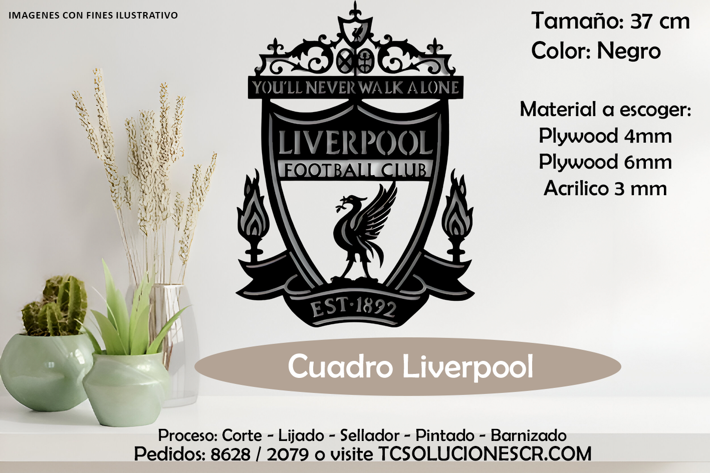 Cuadro Escudo Liverpool