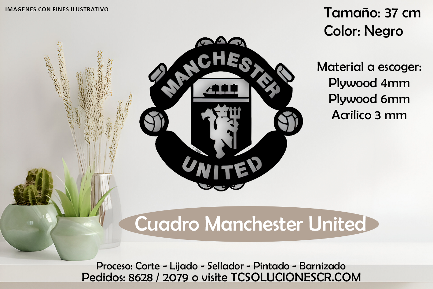 Cuadro Escudo Manchester United