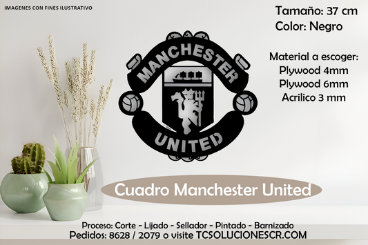 Cuadro Escudo Manchester United