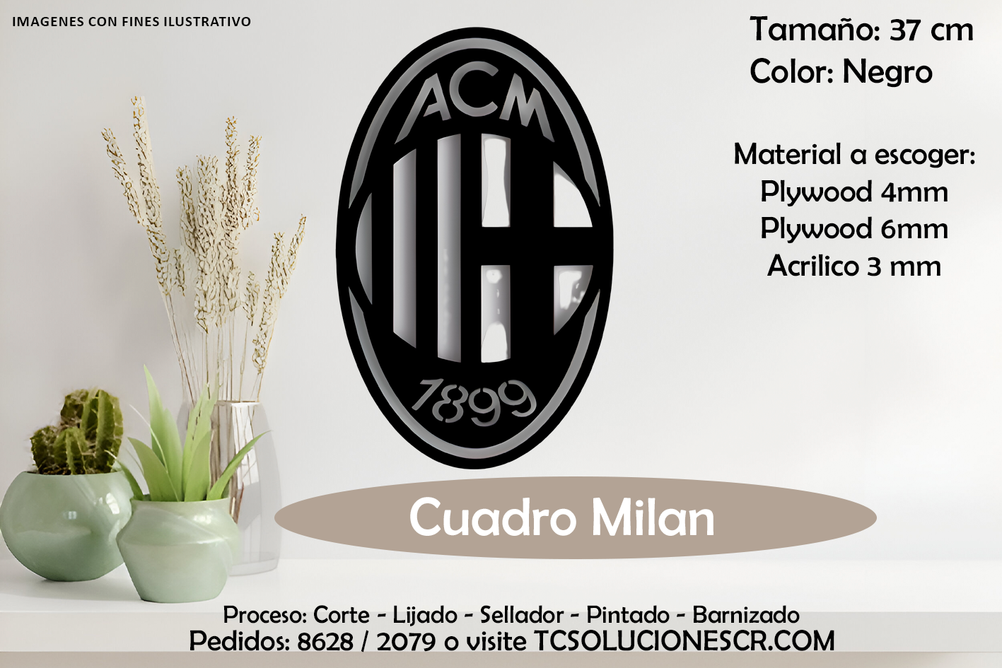 Cuadro Escudo Milan