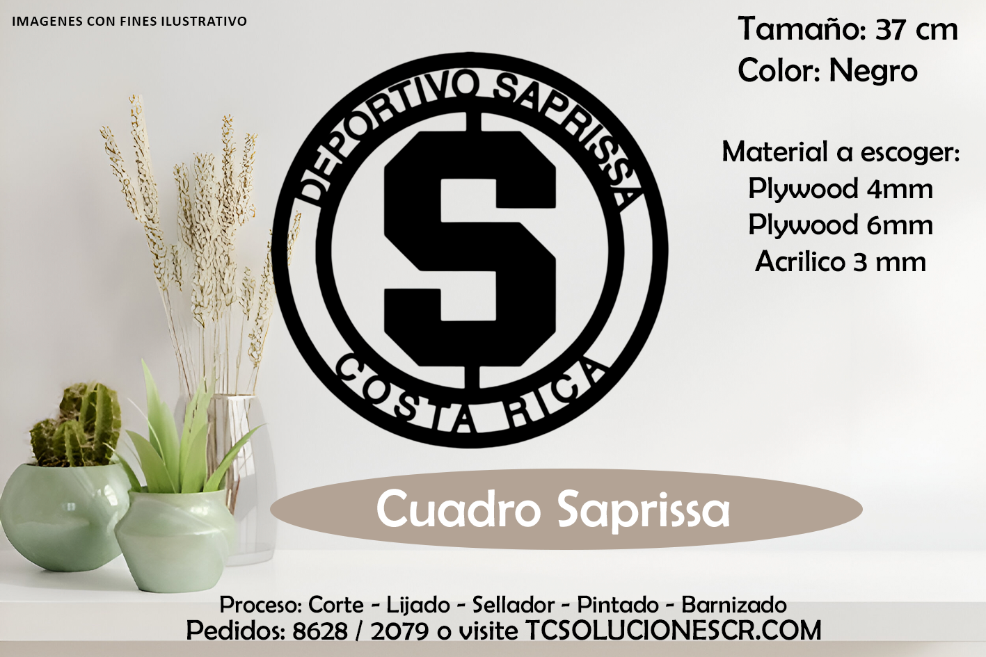 Cuadro Escudo Deportivo Saprissa