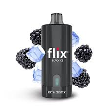 Flix Echobox Black Ice 12000 puffs.