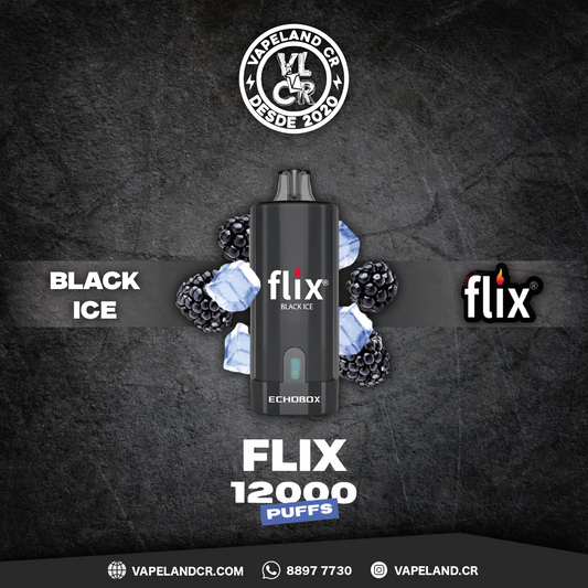 Flix Echobox Black Ice 12000 puffs.