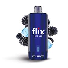 Flix Echobox Blue Razz 12000 puffs.