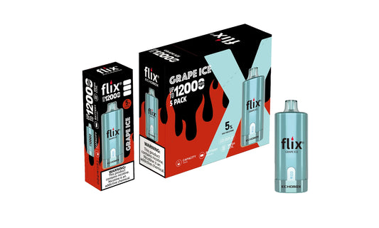 Flix Echobox Grape Ice 12000 puffs.