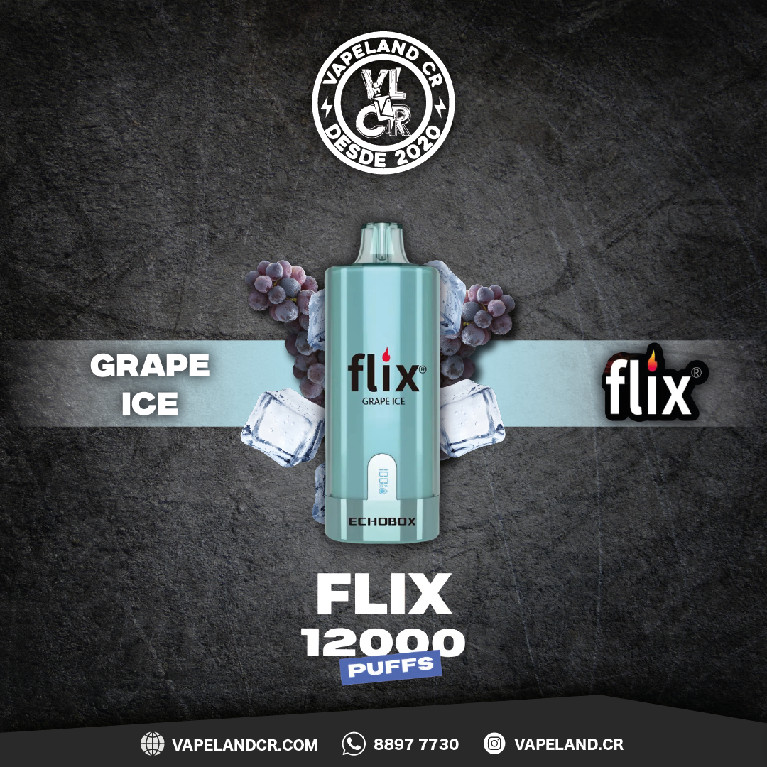 Flix Echobox Grape Ice 12000 puffs.