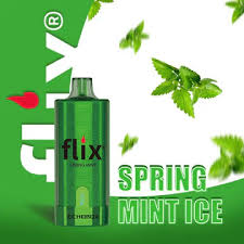 Flix Echobox Spring Mint 12000 puffs.