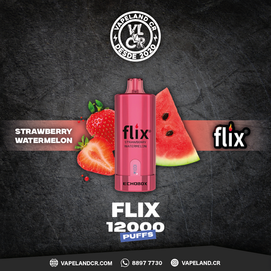 Flix Echobox Strawberry Watermelon 12000 puffs.