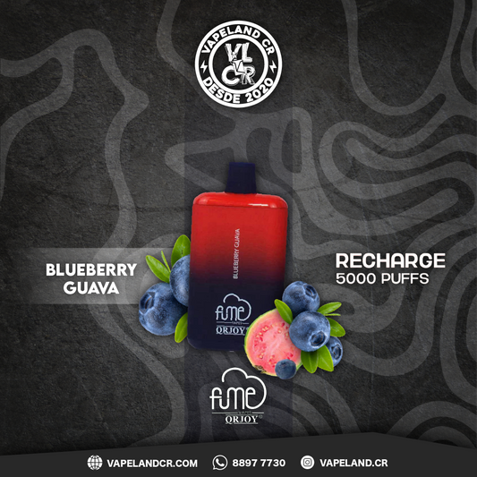 Fume Blueberry Guava 5000 puffs.