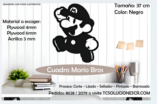 Cuadro Juego Mario Bros