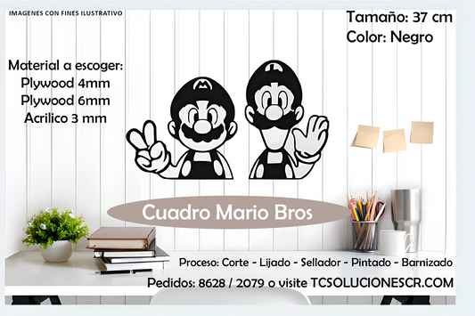 Cuadro Juego Mario & Luigi