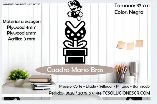 Cuadro Juego Mario Bros 2