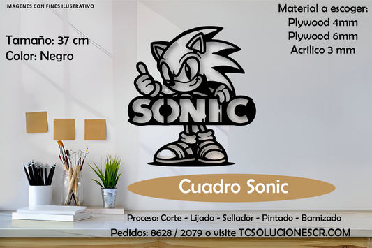 Cuadro Juego Sonic 1