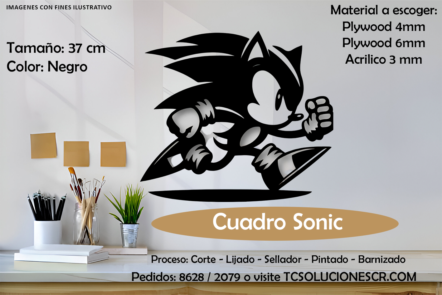 Cuadro Juego Sonic 2