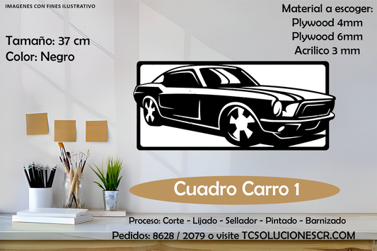 Cuadro Marca Carro 1