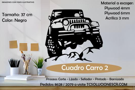 Cuadro Marca Carro 2