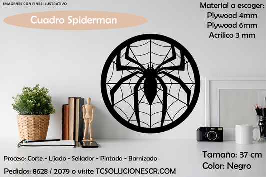 Cuadro Marvel Spiderman 1