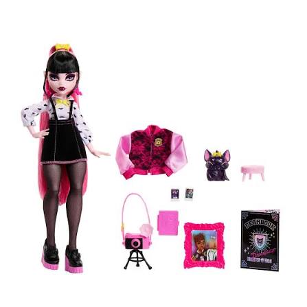 Monster High Draculaura Fearbook.