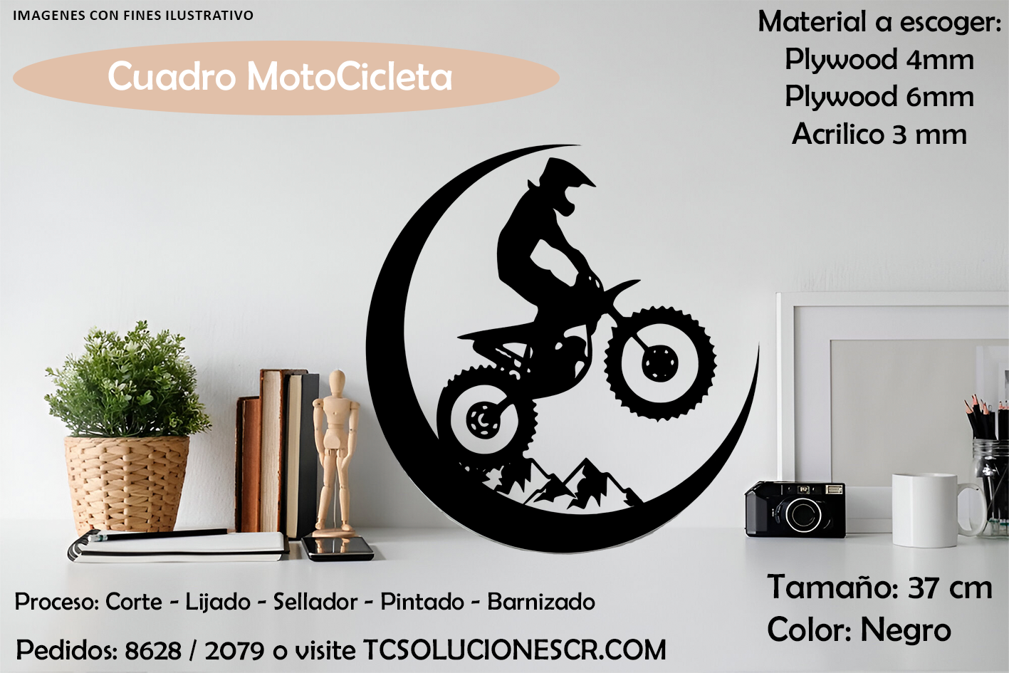 Cuadro Moto 1