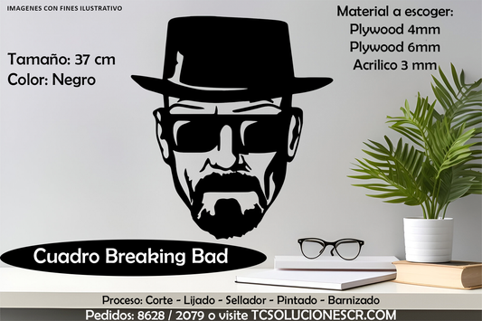 Cuadro Breaking Bad 2