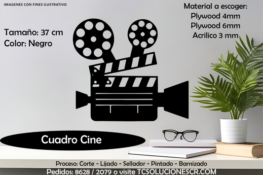 Cuadro Camara Cine