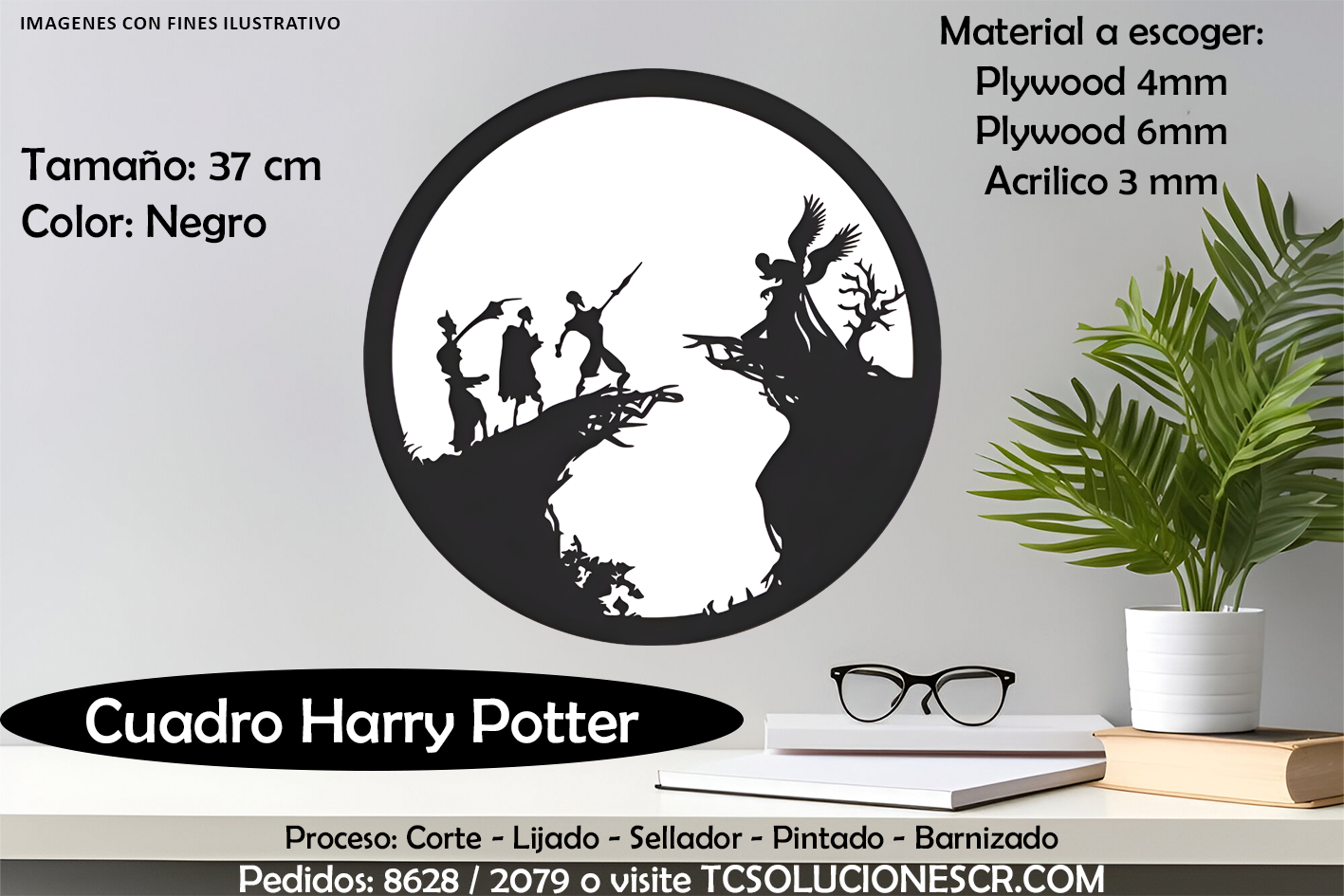 Cuadro Harry Potter 1