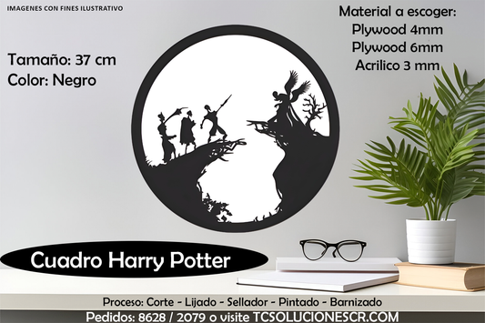 Cuadro Harry Potter 1