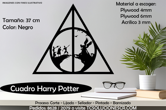Cuadro Harry Potter 2