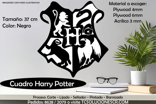 Cuadro Harry Potter 3