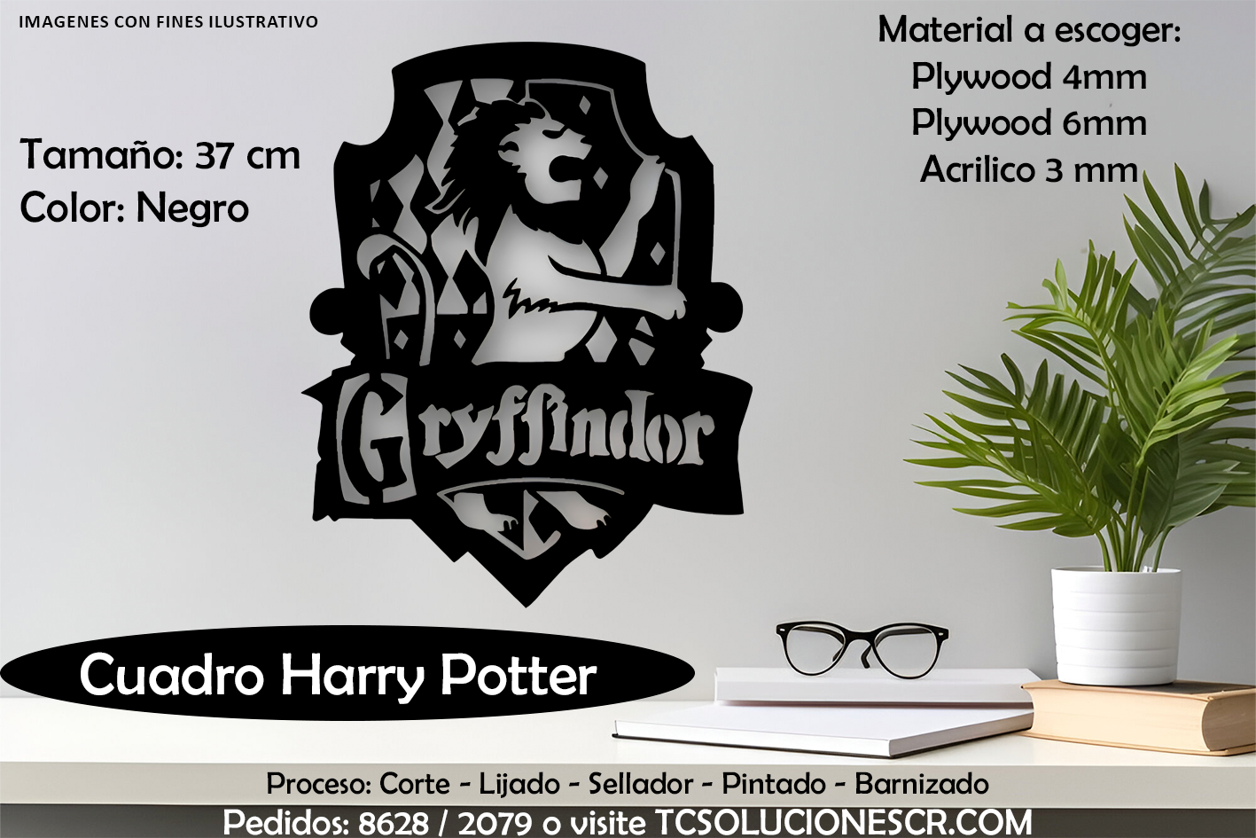 Cuadro Harry Potter Gryffindor