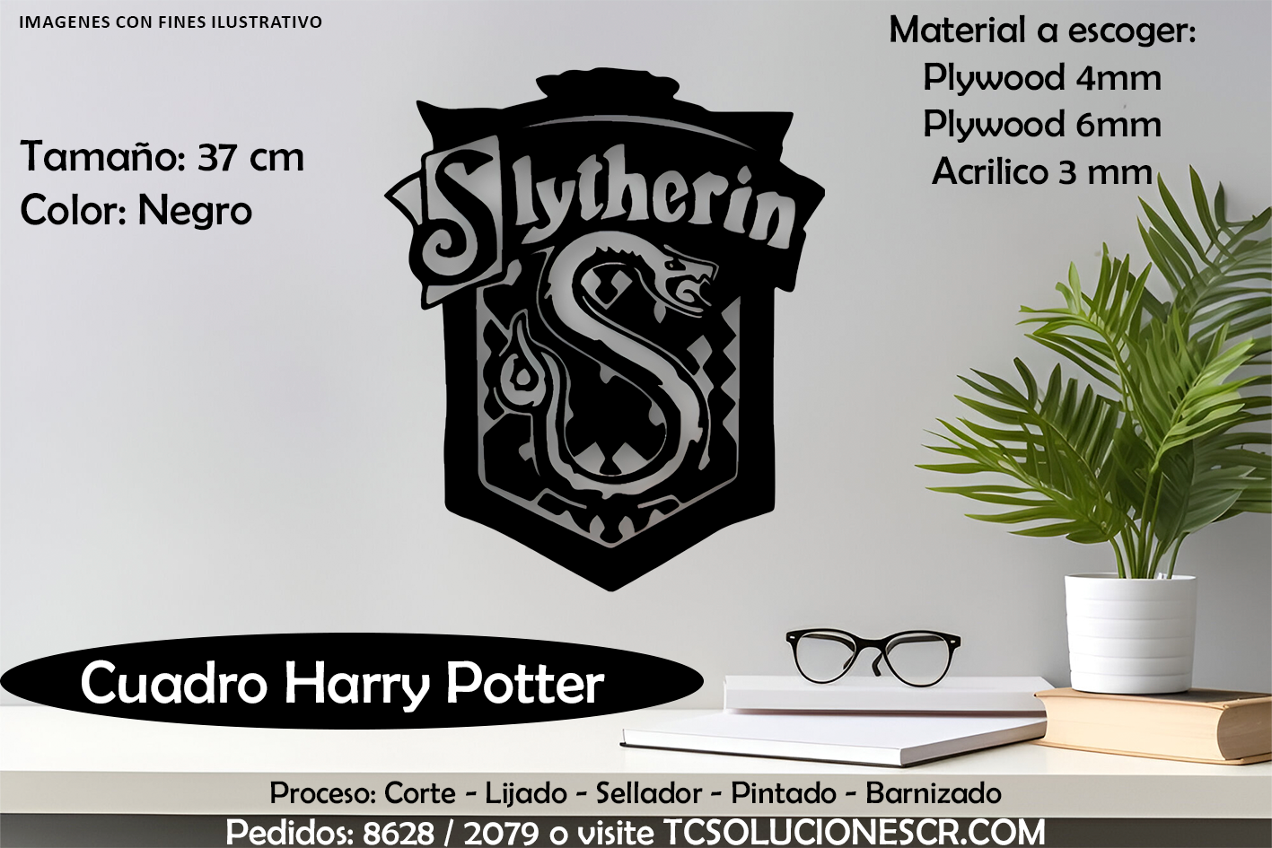 Cuadro Harry Potter Slytherin